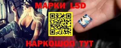 ешки Дубна