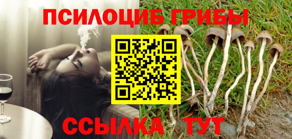 Псилоцибиновые грибы прущие грибы Малгобек