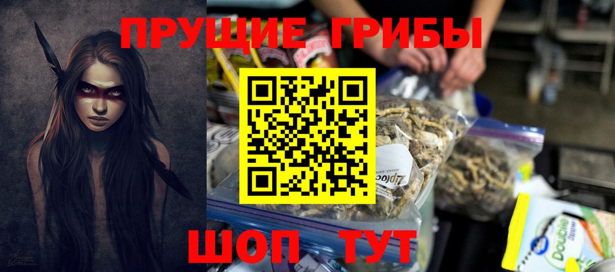 Псилоцибиновые грибы Psilocybine cubensis  Псилоцибиновые грибы MAGIC MUSHROOMS  Вход с VPN  Малгобек 