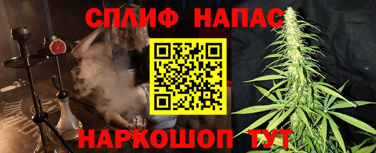 МАРИХУАНА семена Малгобек