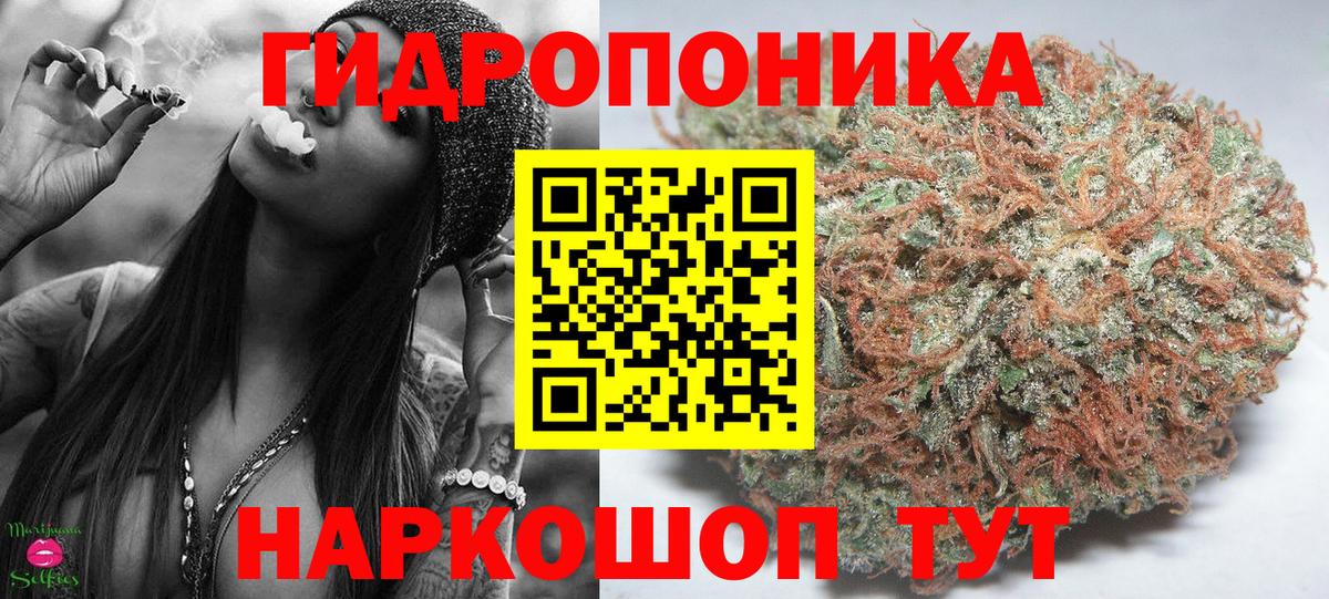 Бошки Шишки планчик  Вход с VPN  Конопля Amnesia  Шишки марихуана индика  Малгобек 